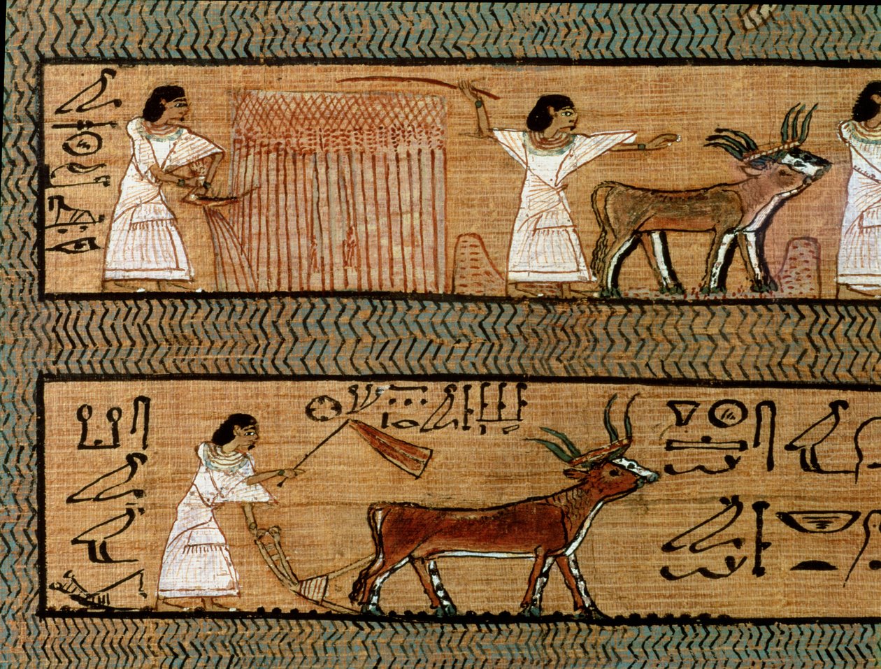 Cosecha y arado, (detalle) de una representación de actividades agrícolas en el más allá, del Libro de los Muertos del Escriba Any, c.1250 a.C. de Egyptian 19th Dynasty