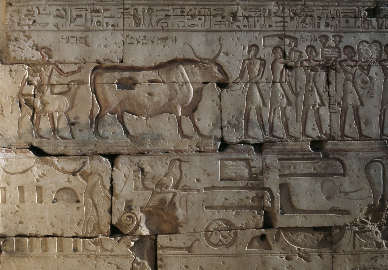 Relieve, Templo de Ramsés II, Abidos, Egipto, Civilización egipcia, Reino Nuevo, Dinastía XIX (foto) de Egyptian 19th Dynasty