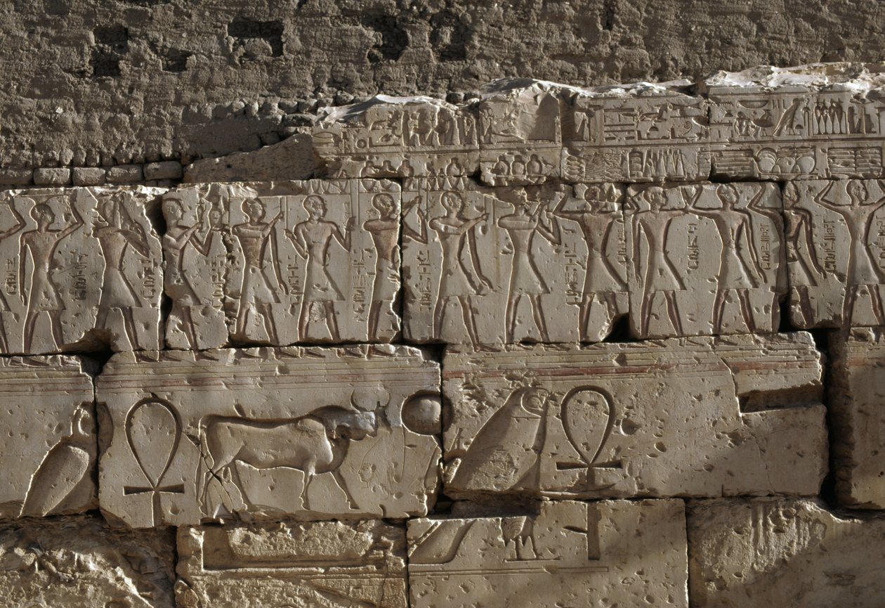 Relieve, Templo de Ramsés II, Abidos, Egipto, Civilización egipcia, Reino Nuevo, Dinastía XIX (foto) de Egyptian 19th Dynasty