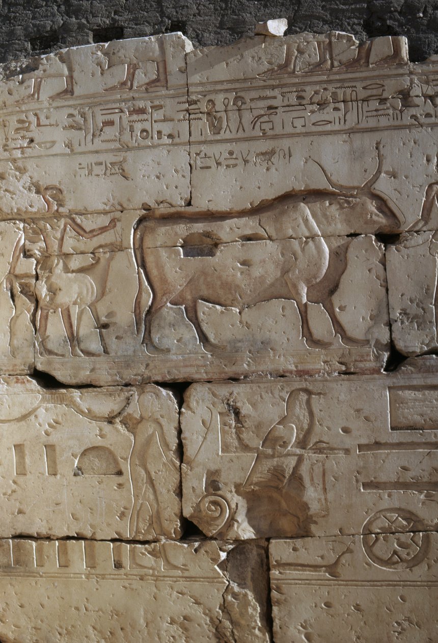 Relieve, Templo de Ramsés II, Abidos, Egipto, Civilización egipcia, Reino Nuevo, Dinastía XIX (foto) de Egyptian 19th Dynasty