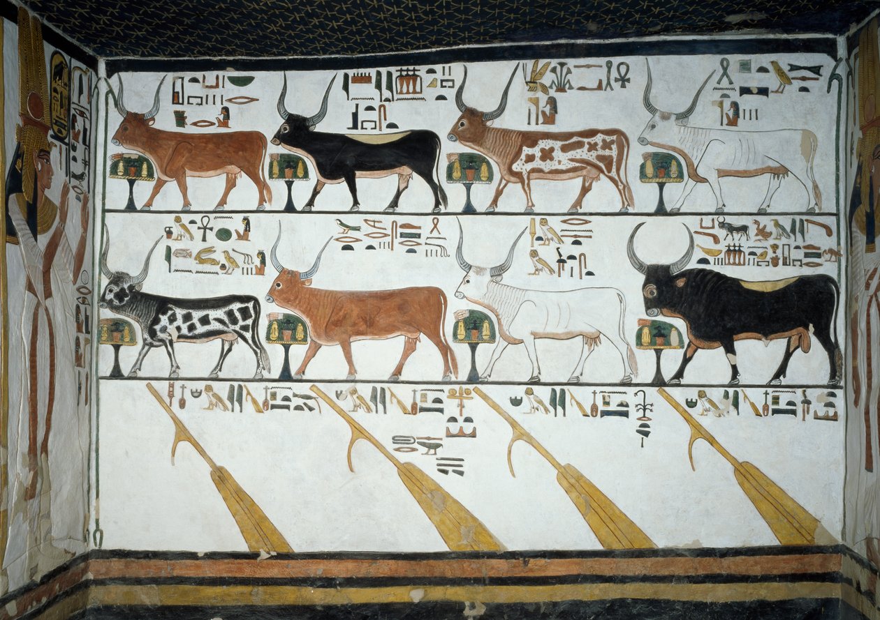 Siete vacas celestiales, toro esposo y cuatro remos de dirección, capítulo 148 del Libro de los Muertos (detalle) de Egyptian 19th Dynasty