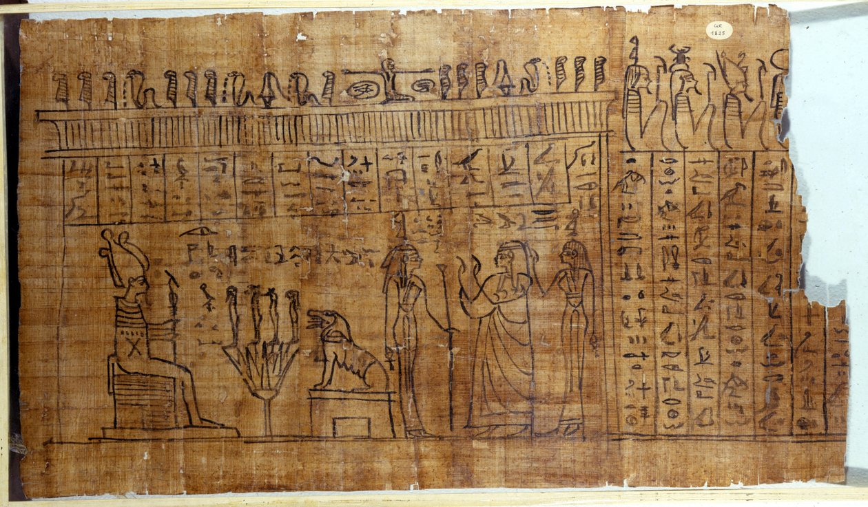 El Libro de los Muertos: jeroglífico egipcio en un papiro de la dinastía 22. Siglo IX a.C. Turín, Museo Egipcio de Egyptian 22nd Dynasty