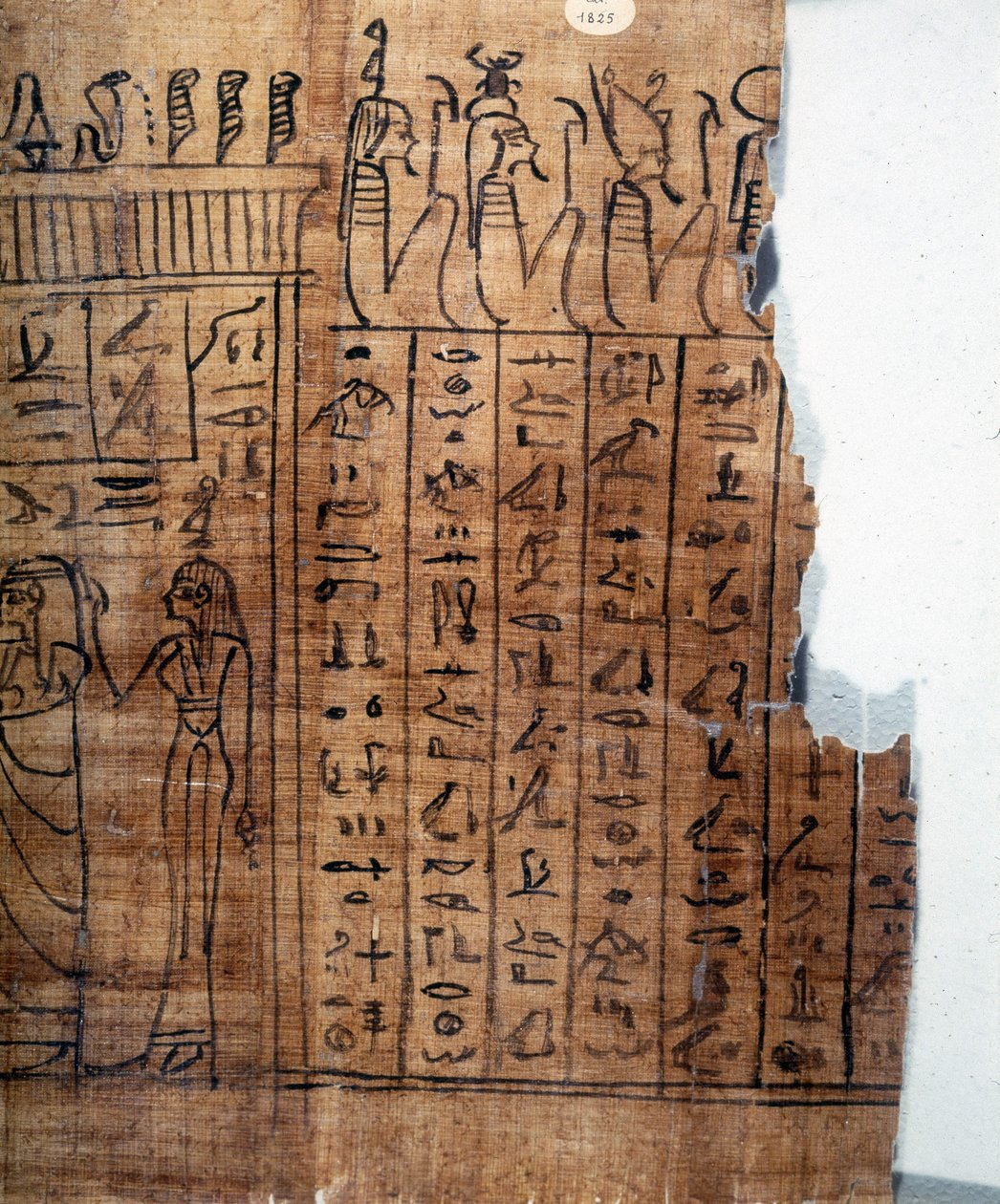 El Libro de los Muertos: jeroglífico egipcio en un papiro de la dinastía 22. (detalle) de Egyptian 22nd Dynasty