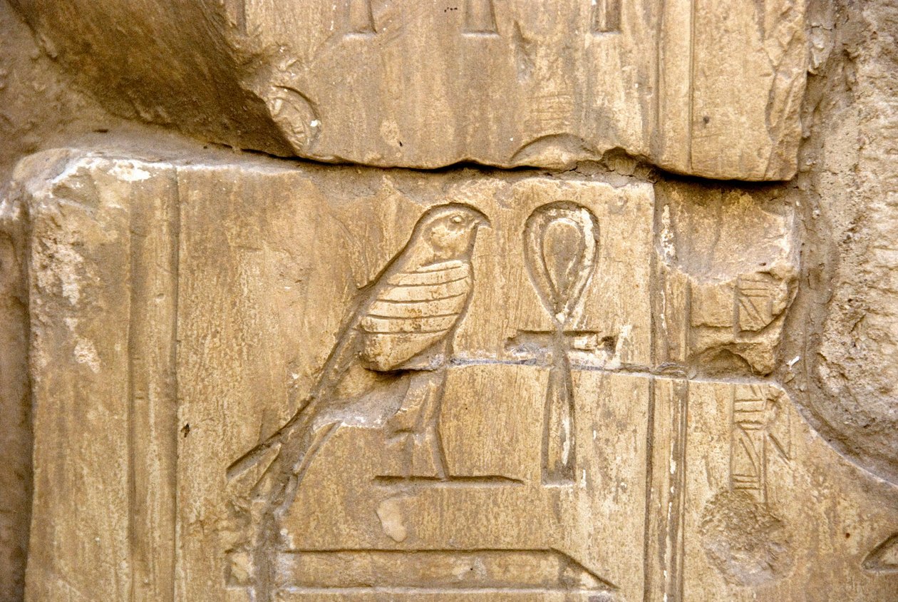 Antigüedad egipcia: cartucho de Ankh Hor. Tumba de Ankh-Hor (Ankh Hor) (TT414) (Dinastía XXVI, 672-525 a.C.), Luxor (Tebas), Egipto de Egyptian 26th Dynasty