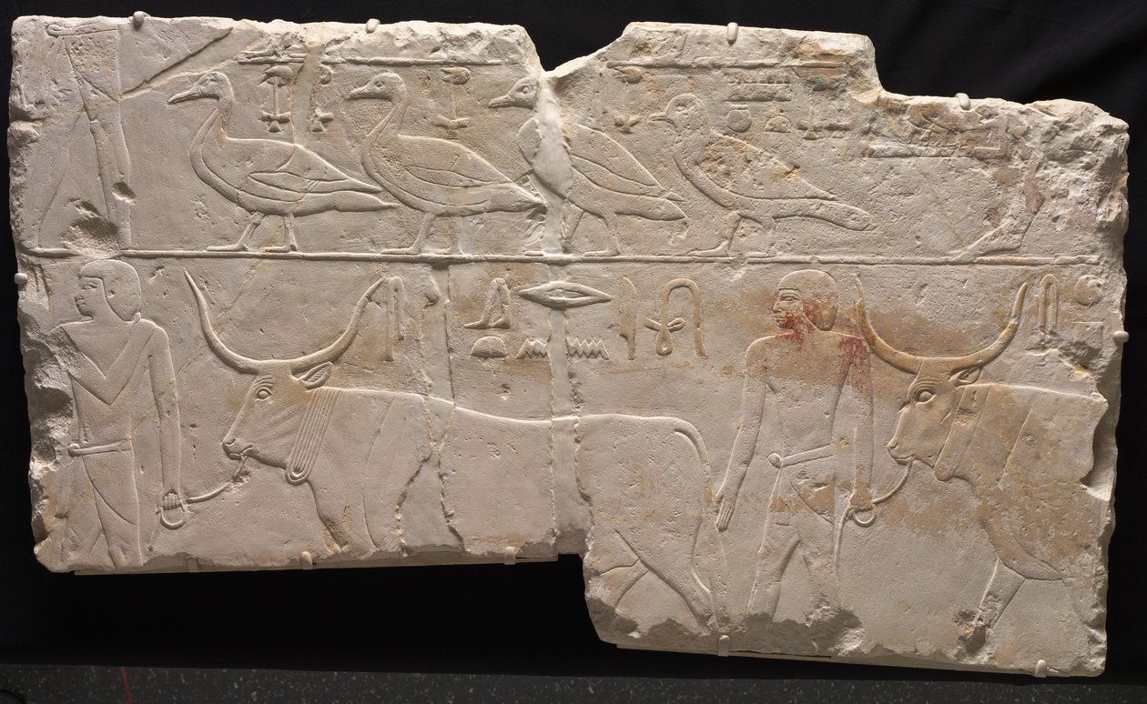 Relieve de hombres trayendo aves y ganado, c.2311-2281 a.C. de Egyptian 6th Dynasty