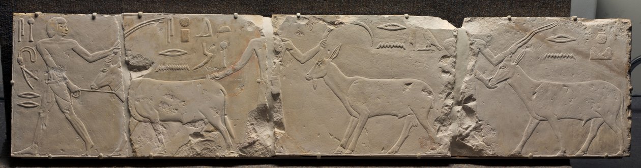 Relieve de hombres trayendo animales del desierto, c.2311-2281 a.C. de Egyptian 6th Dynasty