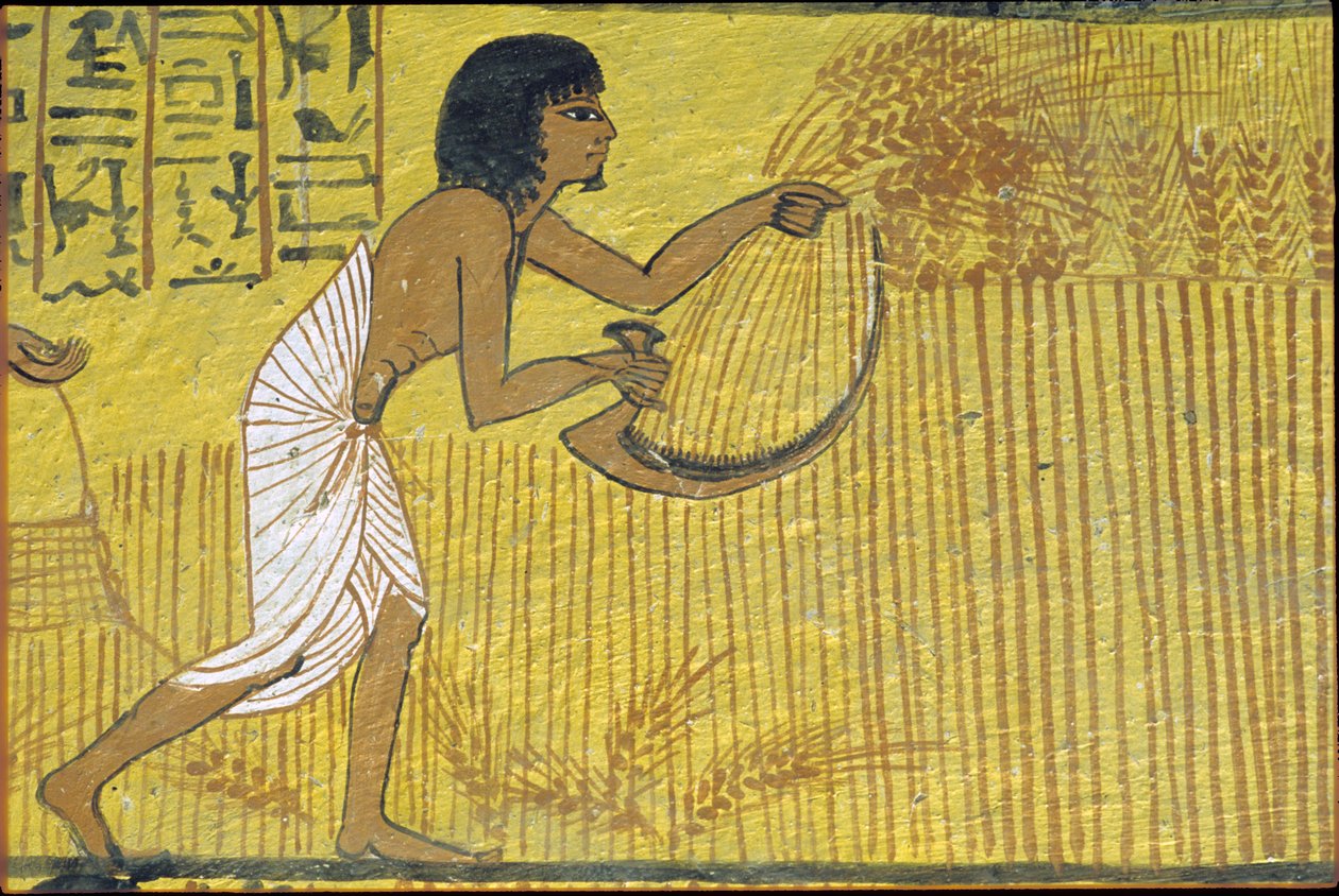 Antiguo Egipto, Pintura mural, Tumba de Sennedjem, Tumba de los Nobles, Tebas, Deir el Medina de Egyptian Egyptian