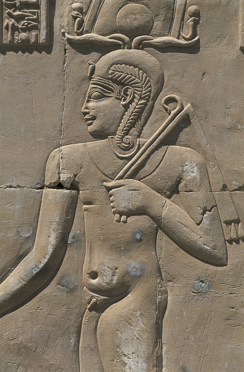 Egipto, Desierto Libio, Oasis de Al-Dakhilah (Dakhla), relieve en templo egipcio de Egyptian Egyptian