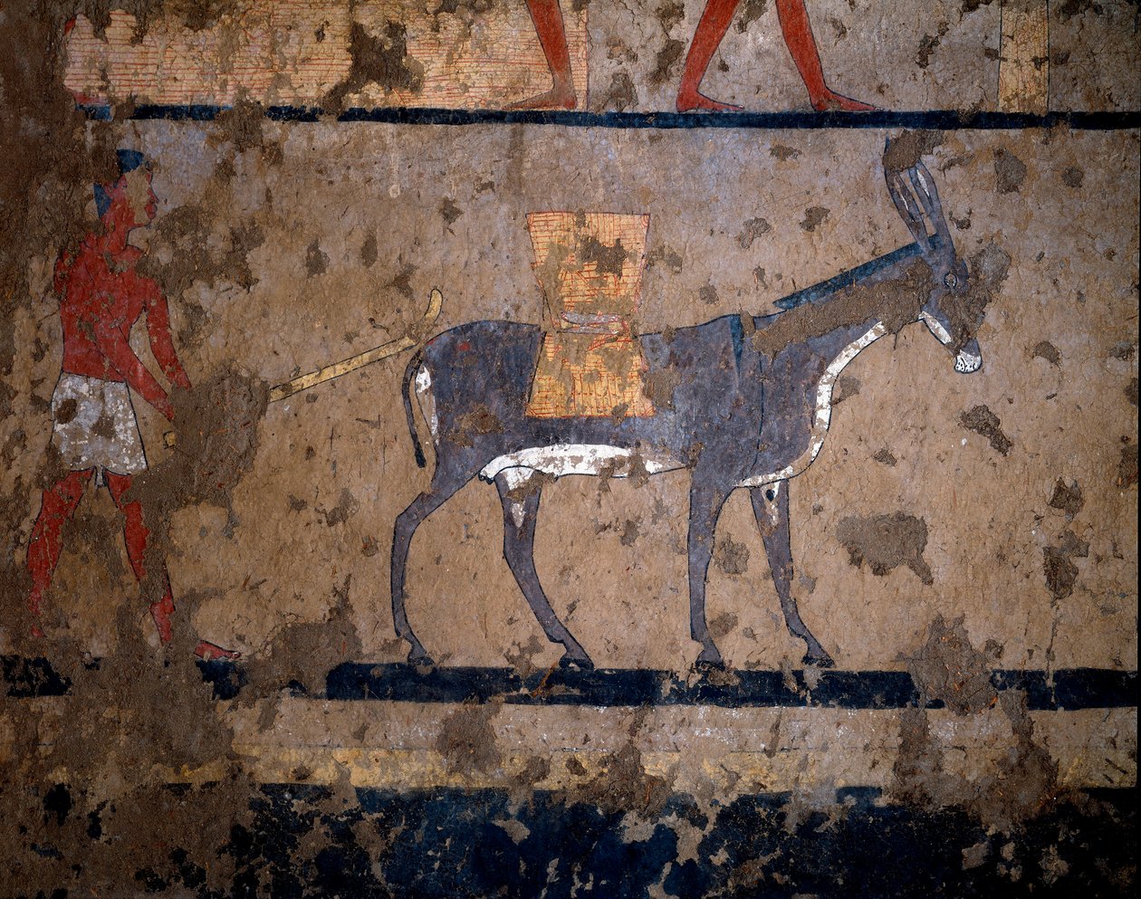 Antigüedad egipcia: el transporte de grano en el lomo de una mula. Pintura al temple en la pared de la tumba del canciller del rey Iti (o Ity) 2200-2000 a.C. De El Ghebelen, Luxor. Turín, Museo Egipcio de Egyptian Egyptian