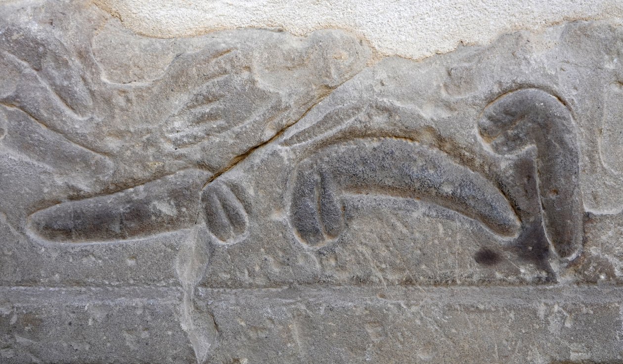 Montones de genitales masculinos cortados por el enemigo, Templo de Horus, Edfu. de Egyptian Egyptian