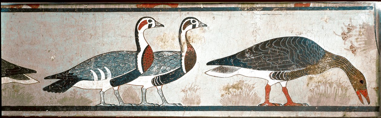 Gansos (detalle) de Egyptian Egyptian
