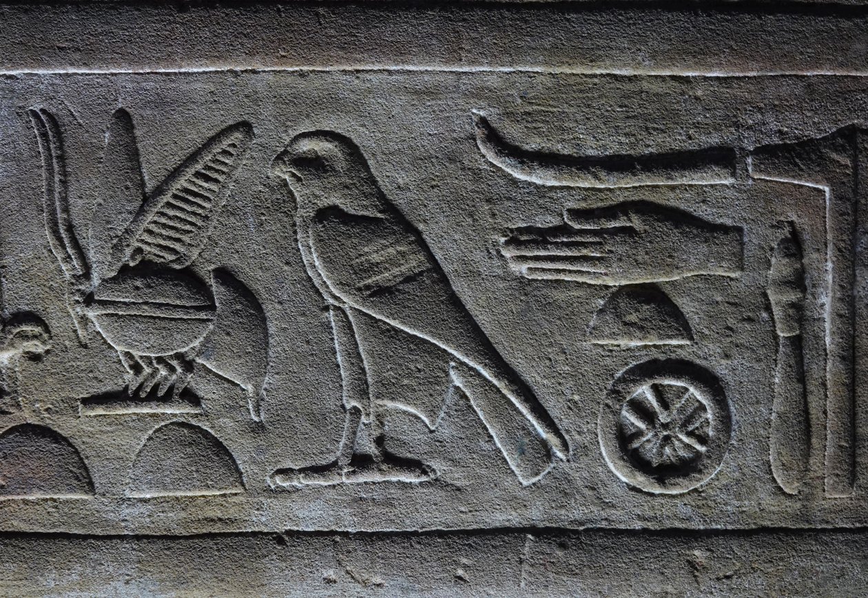 Hieroglyps, Abeja del Faraón y Halcón de Horus, Templo de Horus, Edfu de Egyptian Egyptian