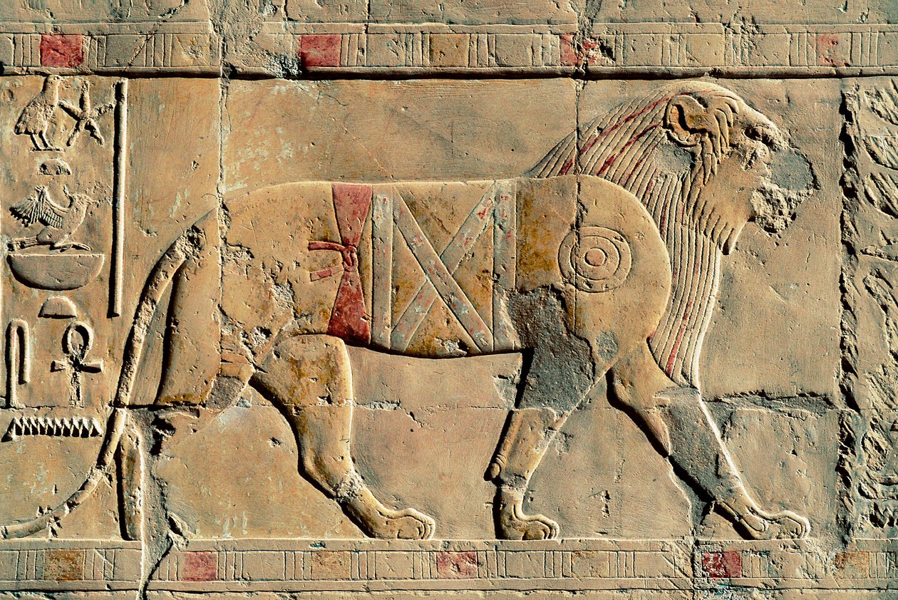 León, Senenmut, Templo de Hatshepsut, Dayr al-Bahri, Egipto de Egyptian Egyptian