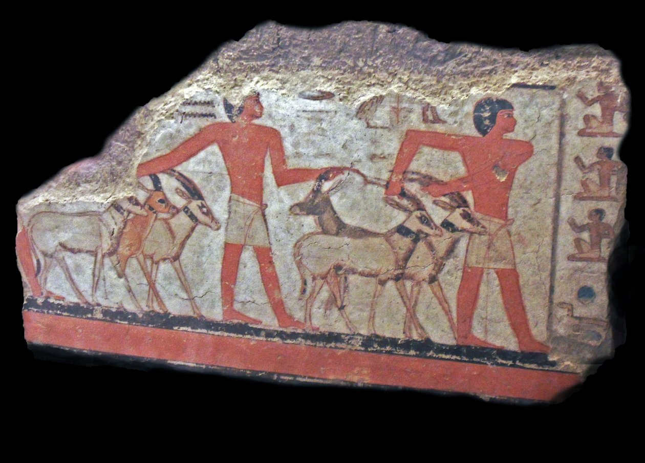 desierto (oryx, gacelas) son llevados ante Metchetch. Pintura mural del antiguo Egipto de Egyptian Egyptian