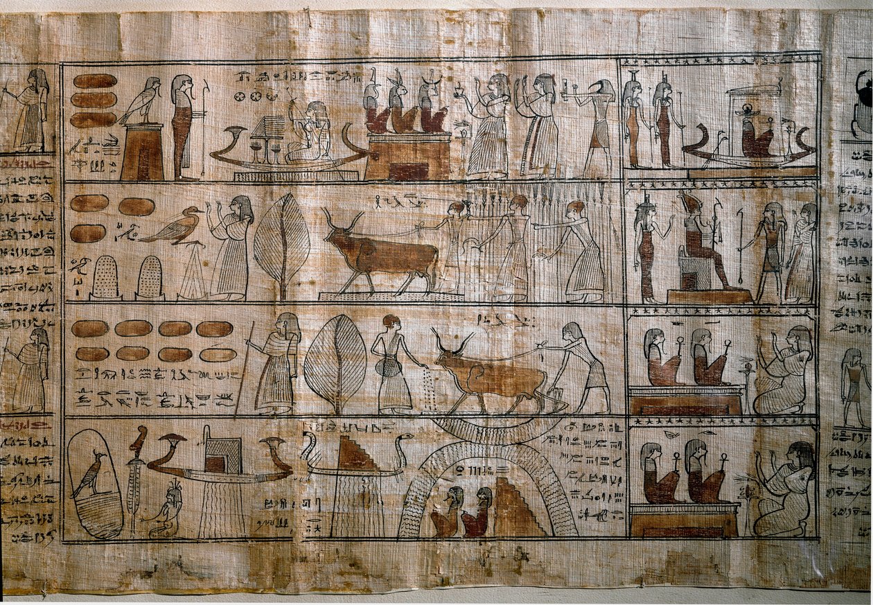 Antigüedad egipcia: los Campos Elíseos. Papiro de un Libro de los Muertos. Período Ptolemaico. Turín, Museo Egipcio de Egyptian Ptolemaic Period