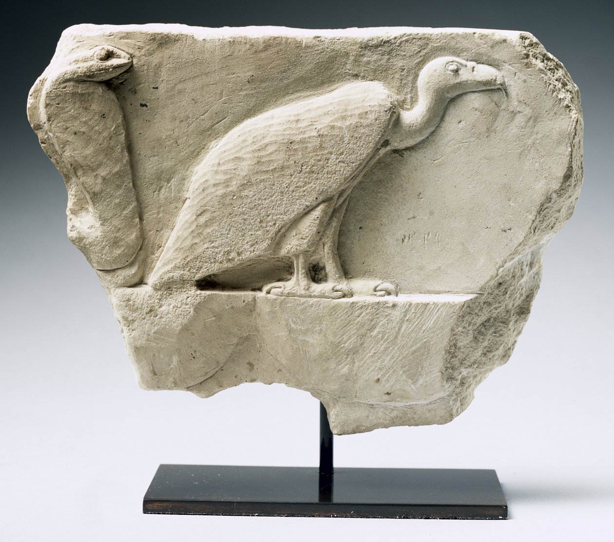 Relieve que representa un buitre y una cobra (piedra caliza) de Egyptian Ptolemaic Period
