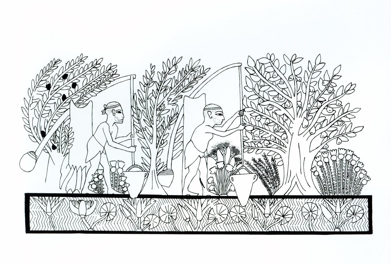Un jardín egipcio antiguo de Egyptian School