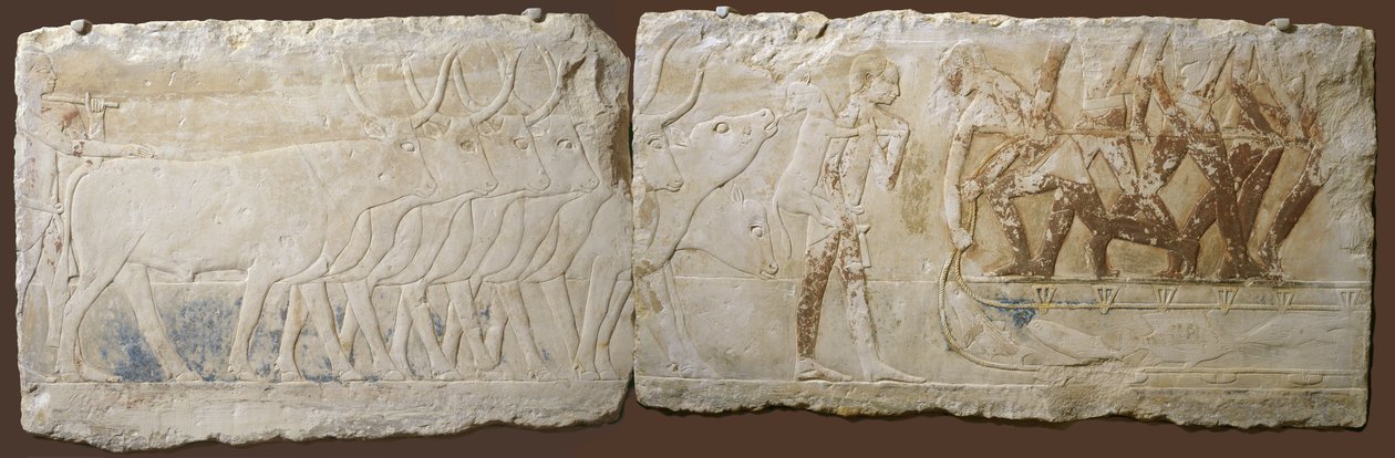 Relieve de campesinos conduciendo ganado y pescando, Reino Antiguo de Egyptian School