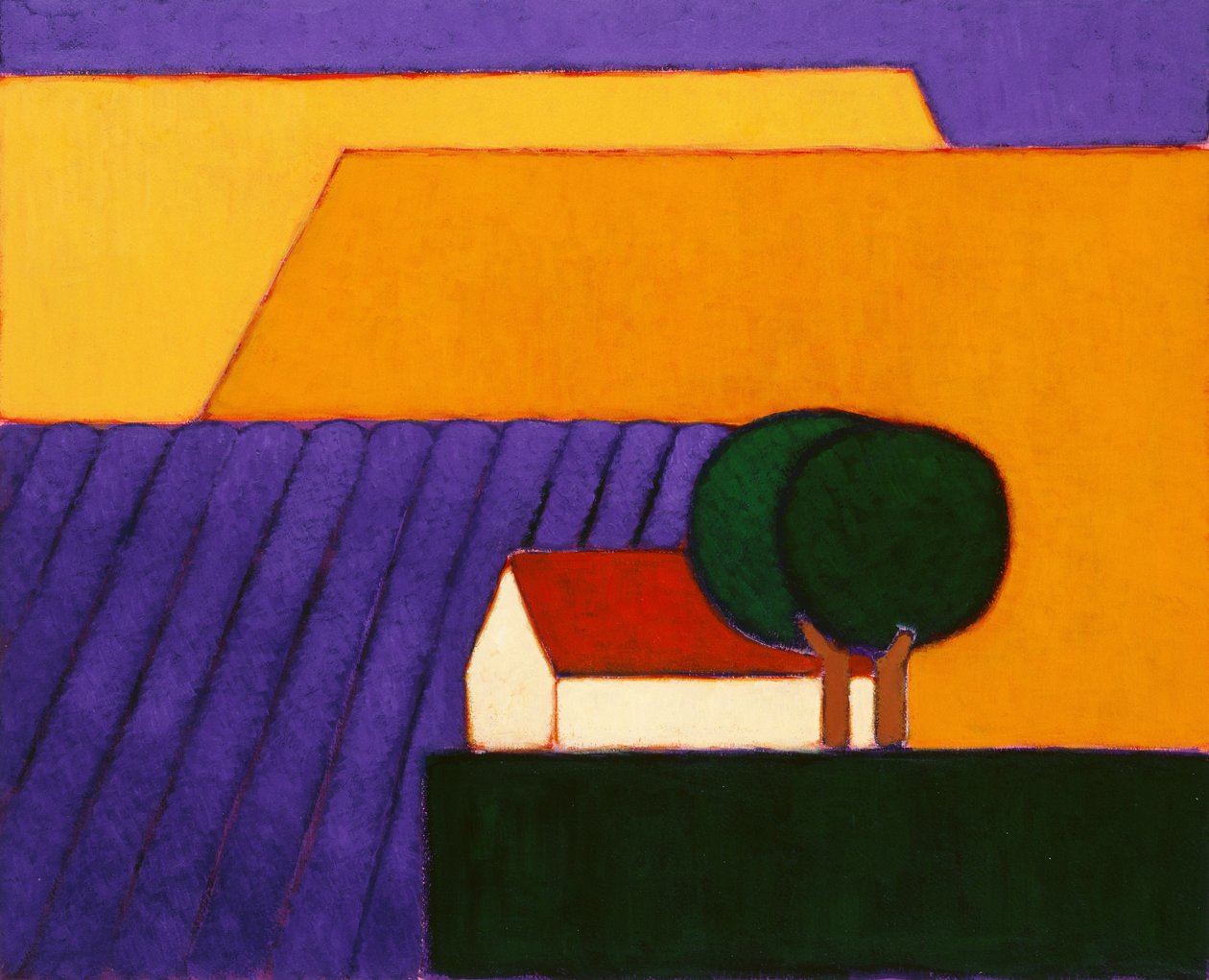 Campo de lavanda, Provenza, 2004 de Eithne Contemporary Artist Donne
