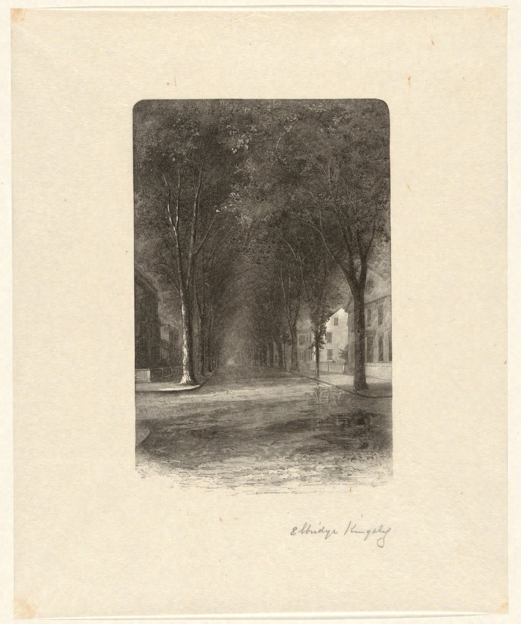 Sin título [Calle arbolada] de Elbridge Kingsley