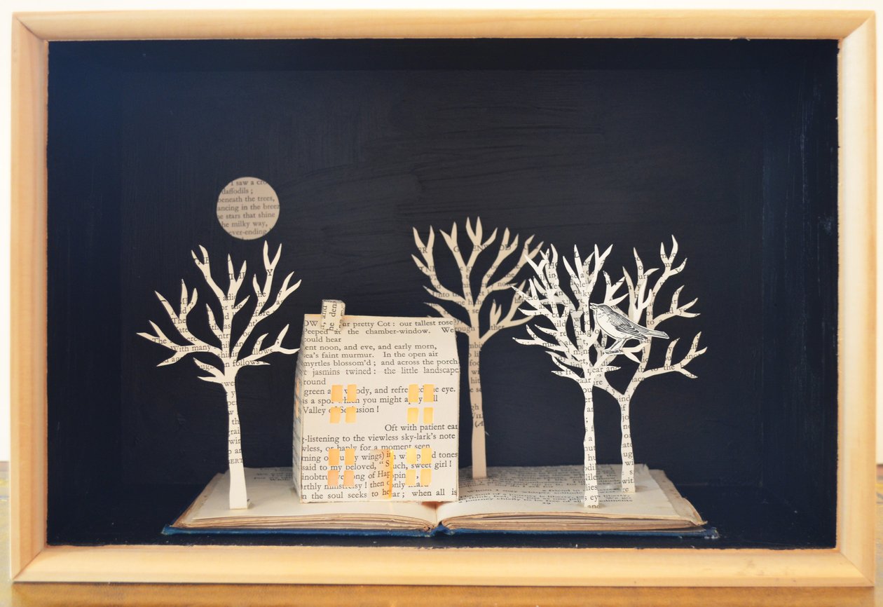 Caja de luz Cottage, 2012 (técnica mixta) de Eleanor Grafton