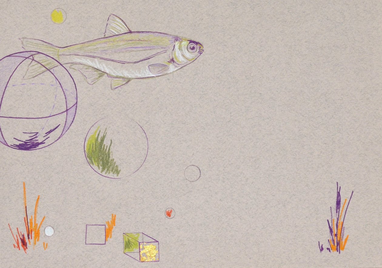 Flotando, 2014 (lápiz acuarelable y pan de oro sobre papel) de Eleanor Grafton