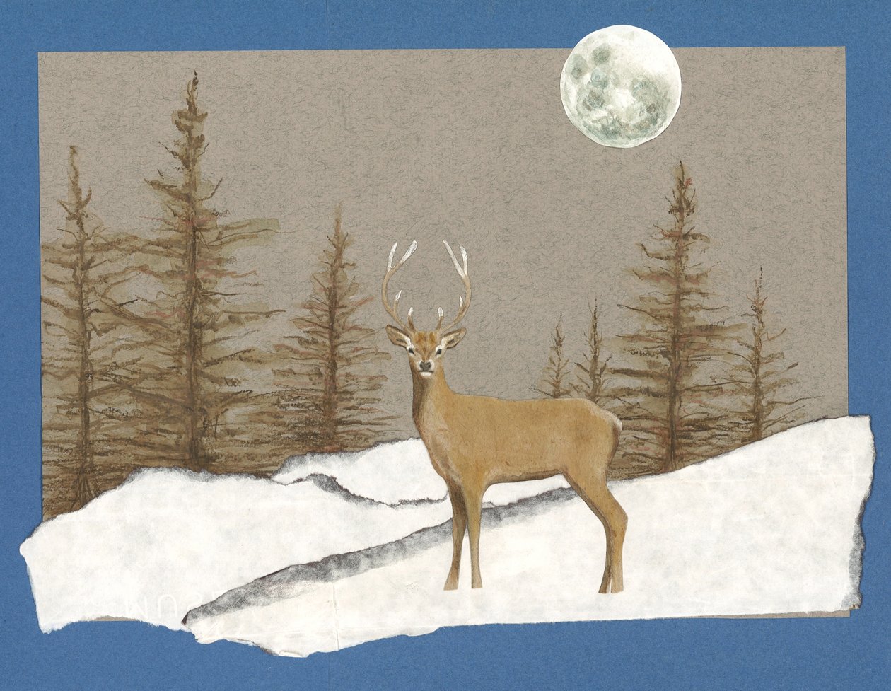 Encuentro nocturno, 2012 (acuarela sobre papel y collage) de Eleanor Grafton