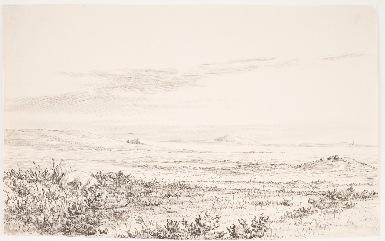 Paisaje de brezal ondulado con dos zorros de Eleonore Christine Tscherning