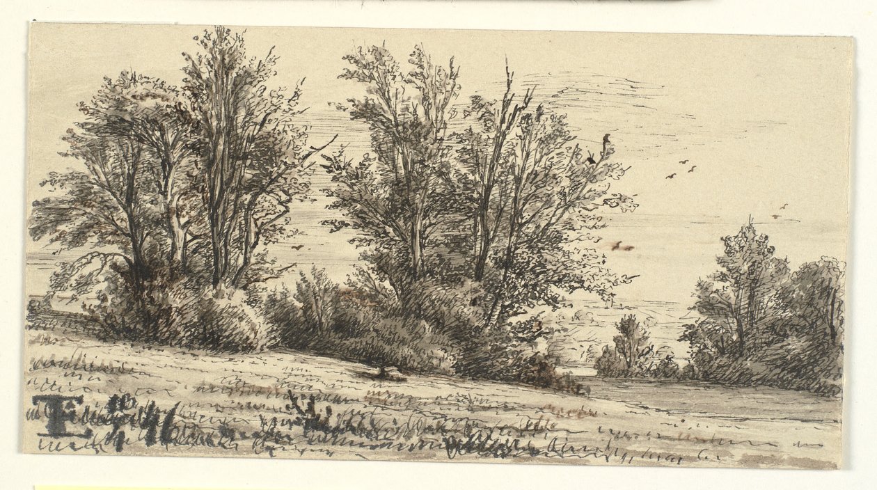 Paisaje con grupos de árboles de Eleonore Christine Tscherning