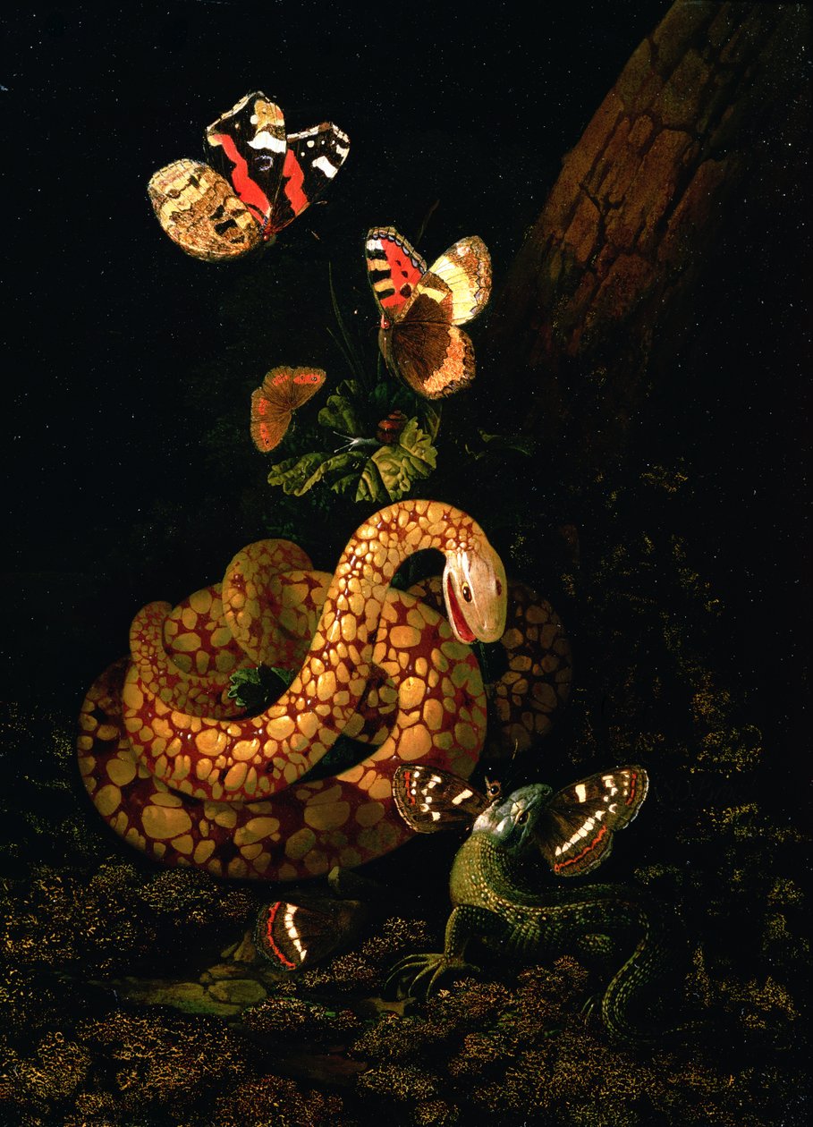 Naturaleza muerta con serpiente de Elias van den Broeck