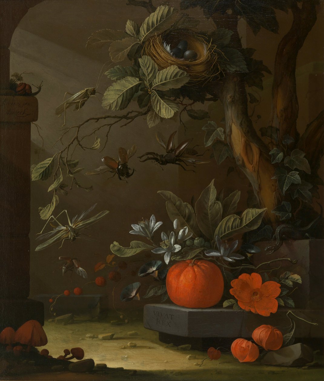 Vivat Rex de Elias van den Broeck