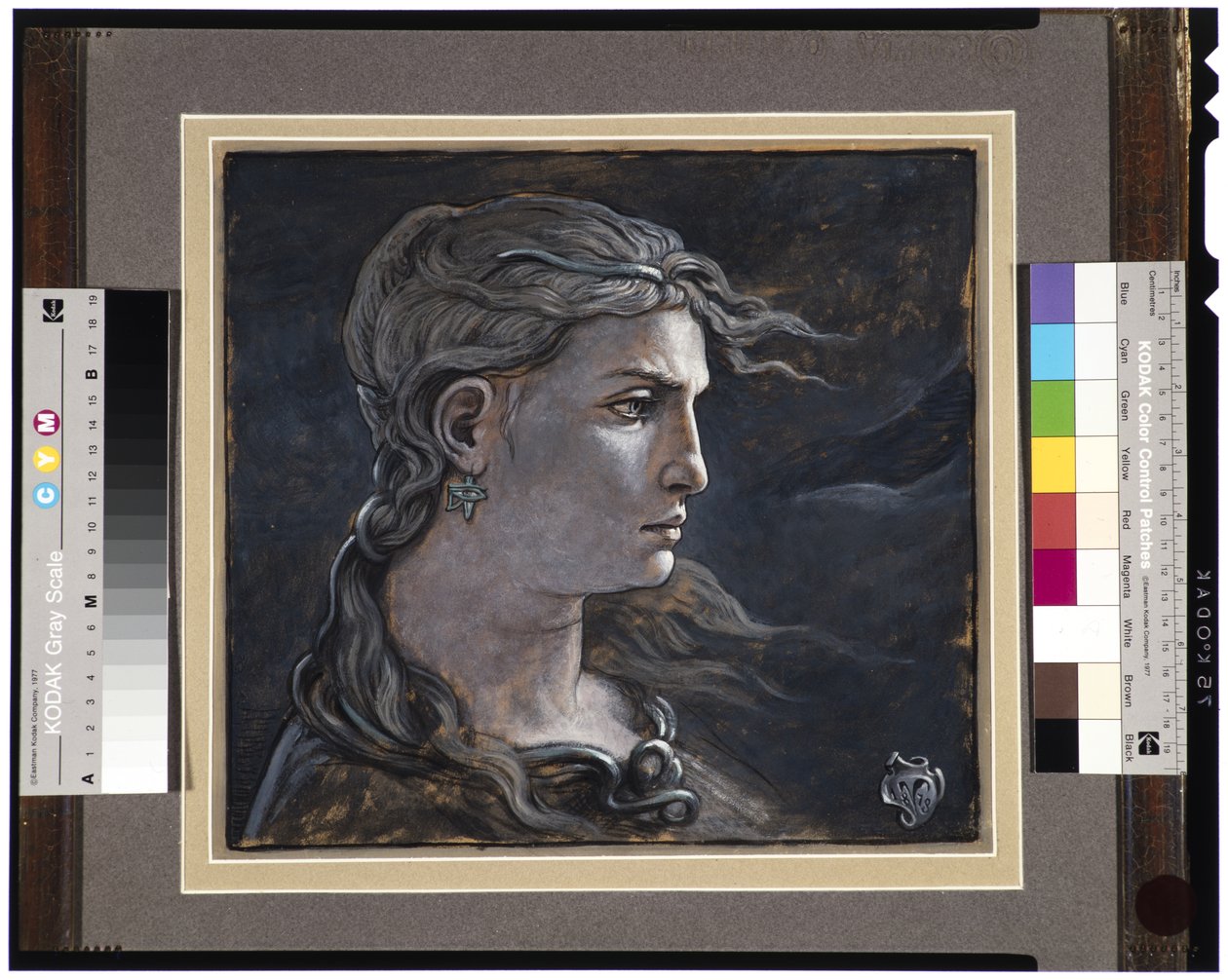 Cabeza de Medusa, 1878 de Elihu Vedder
