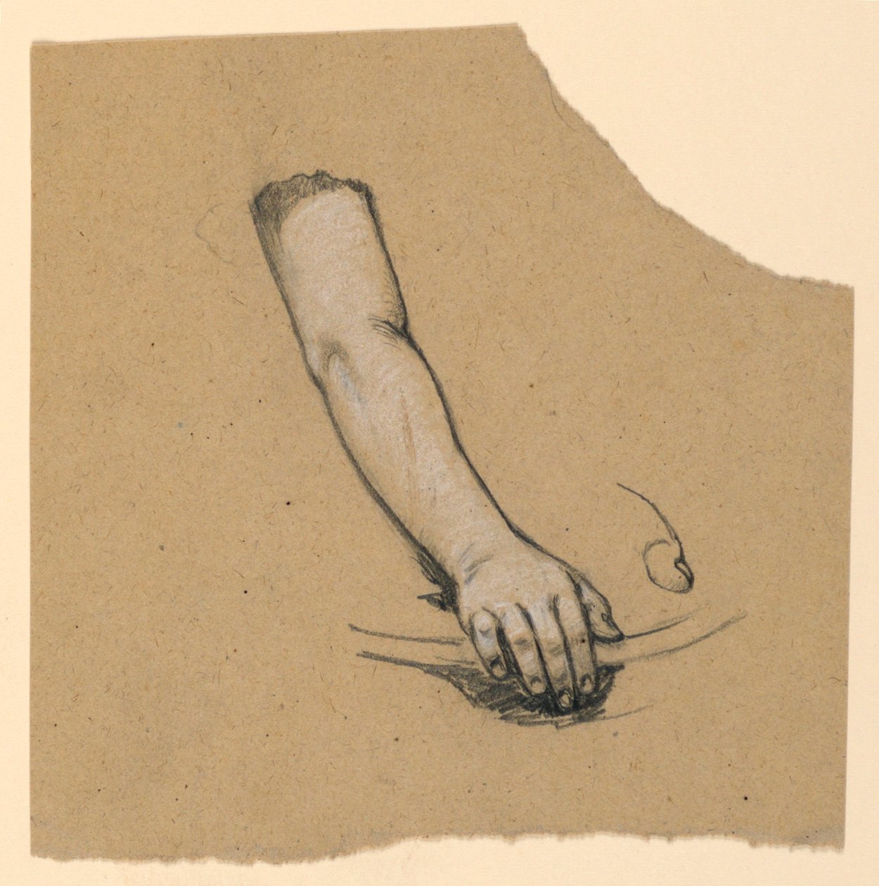 Estudio de mano hasta el bíceps de Elihu Vedder