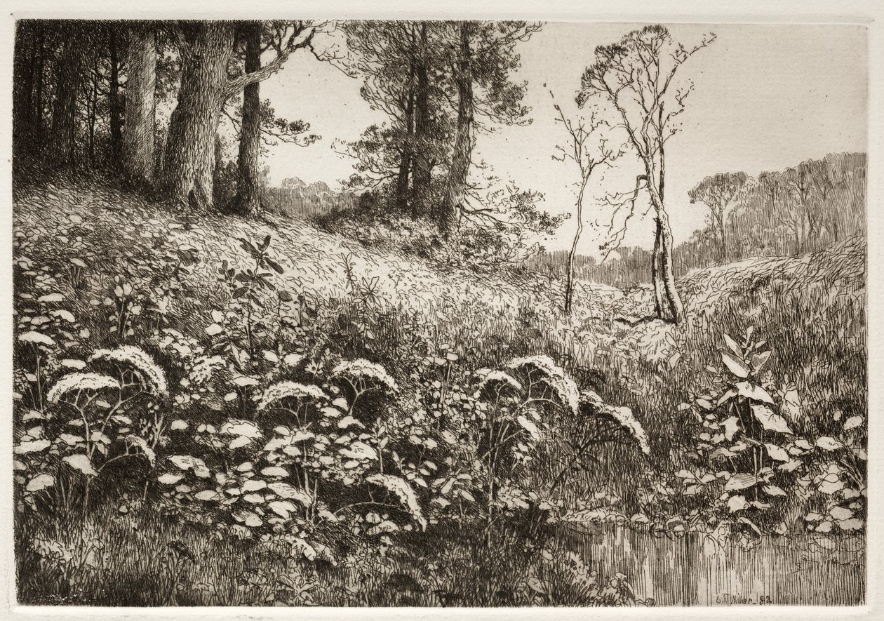 Una tarde de verano de Elis F. Miller
