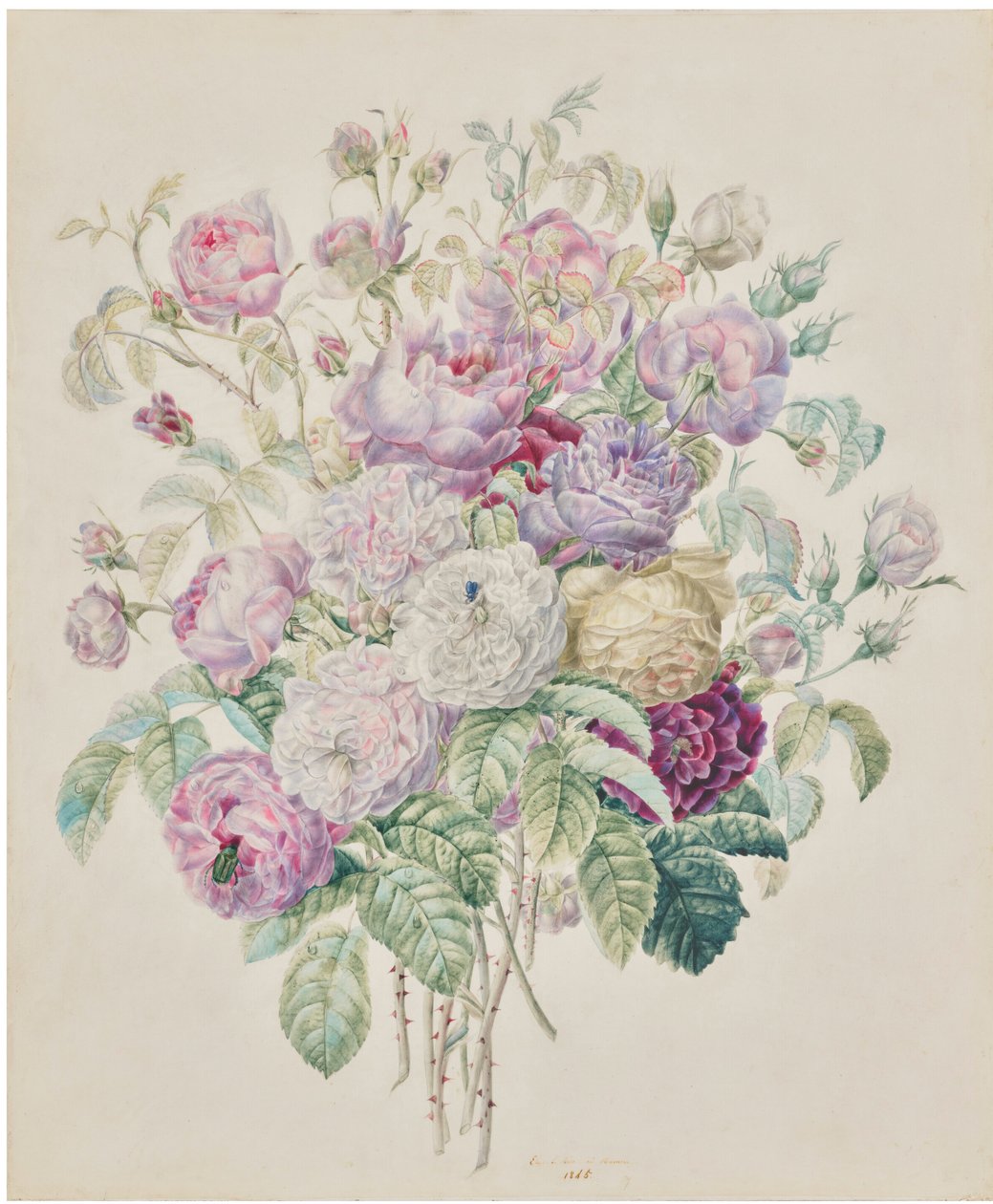 Un ramo de rosas Bourbon de Elisa Emilie Lemire