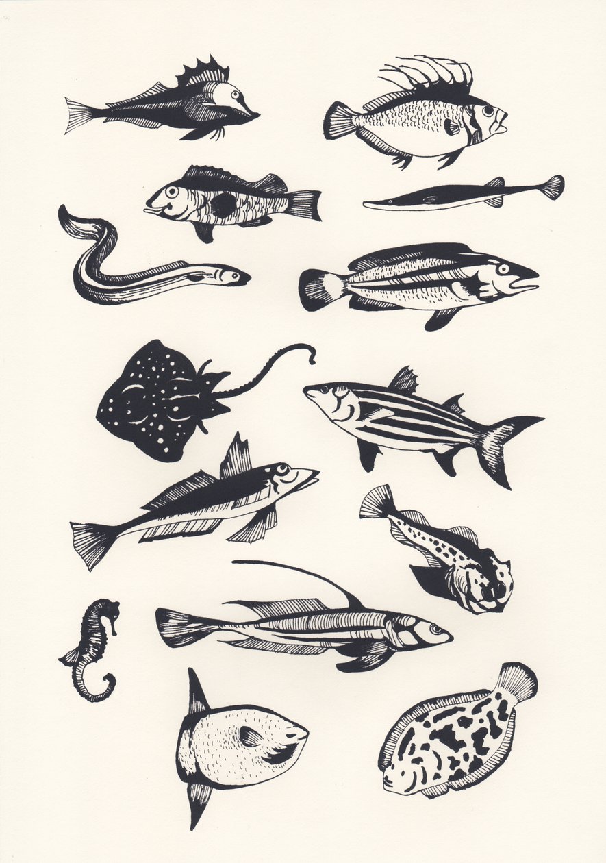 Pez liso monótono, 2015 de Eliza Southwood