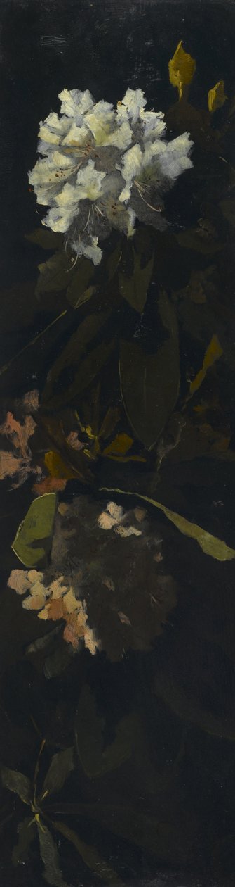 Rhododendros de Elizabeth Boott Duveneck
