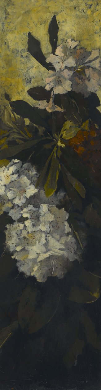 Rhododendros de Elizabeth Boott Duveneck