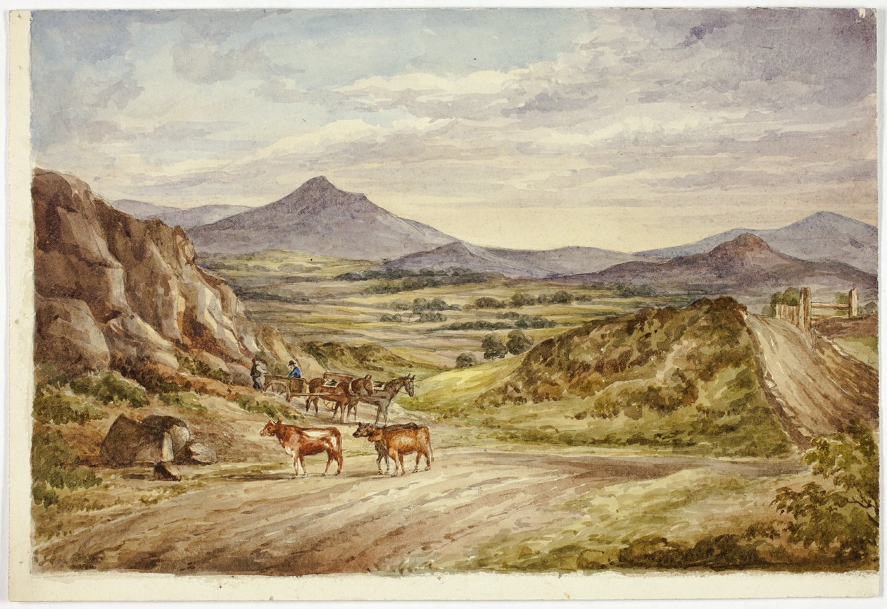 Colinas de Wicklow de Elizabeth Murray