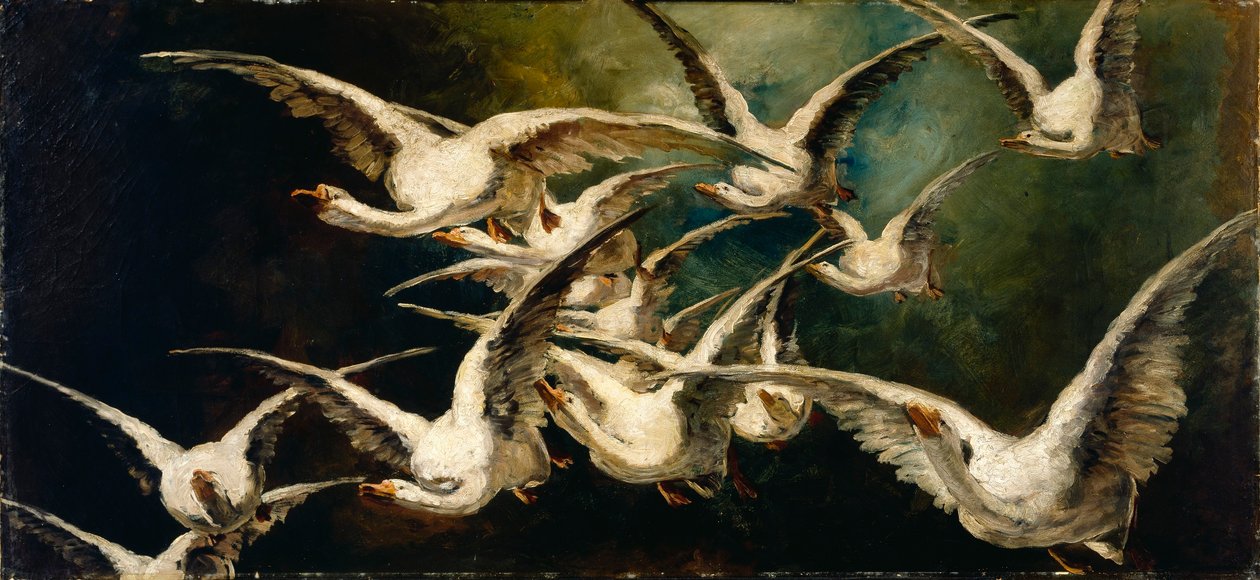 Bandada de gansos de Elizabeth Nourse