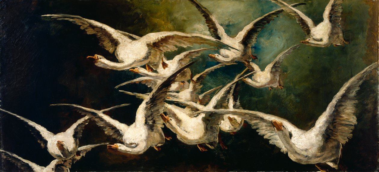 Bandada de Gansos de Elizabeth Nourse