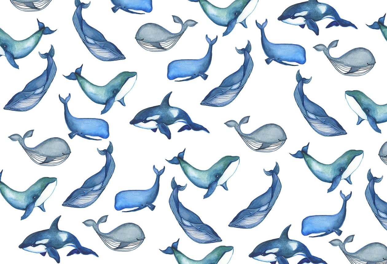 Ballenas, 2017 (acuarela) de Elizabeth Rider