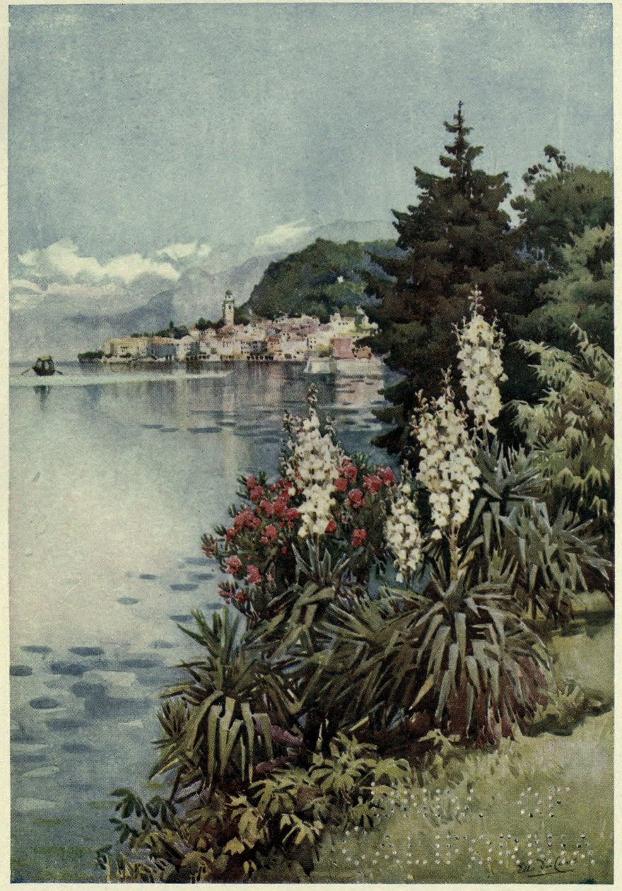 Un grupo de yucas, Villa Melzi, Lago di Como, Ilustración de 