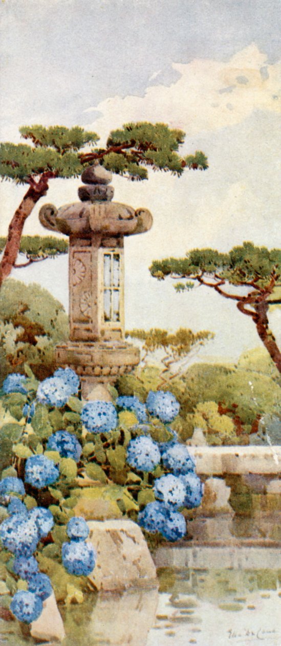 Un arbusto de hortensias (litografía en color) de Ella Du Cane