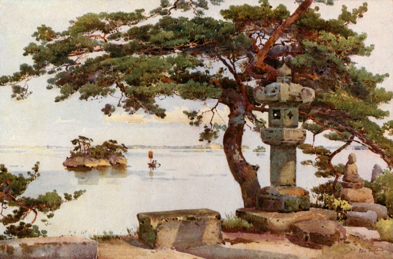 Pino en Matsushima (litografía en color) de Ella Du Cane
