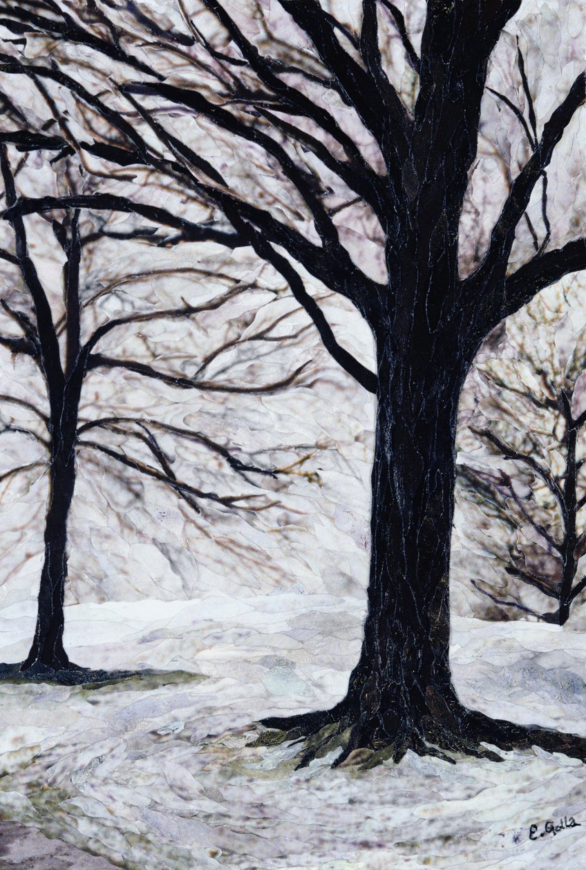 Árboles de invierno, Greenwich Park, 2004 de Ellen Golla