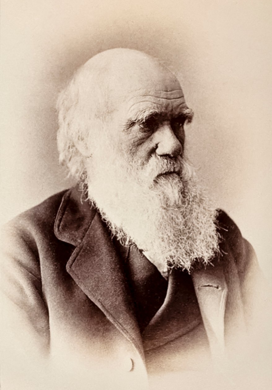 Charles Darwin: naturalista inglés de Elliott und Fry Studio