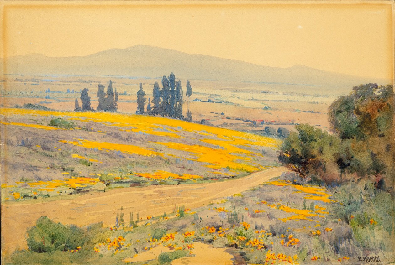 Paisaje primaveral de California de Elmer Wachtel