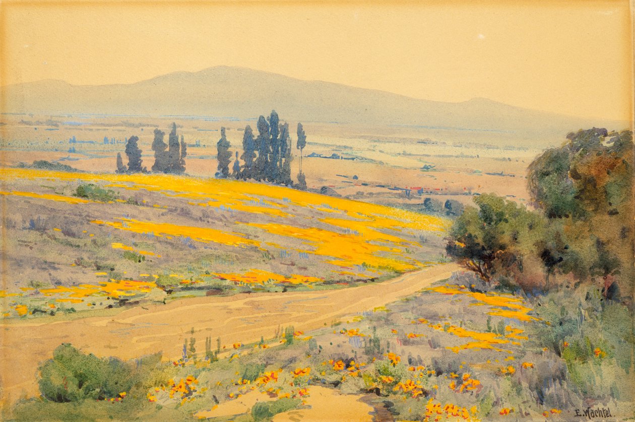 Paisaje de primavera en California, ca. 1920 de Elmer Wachtel