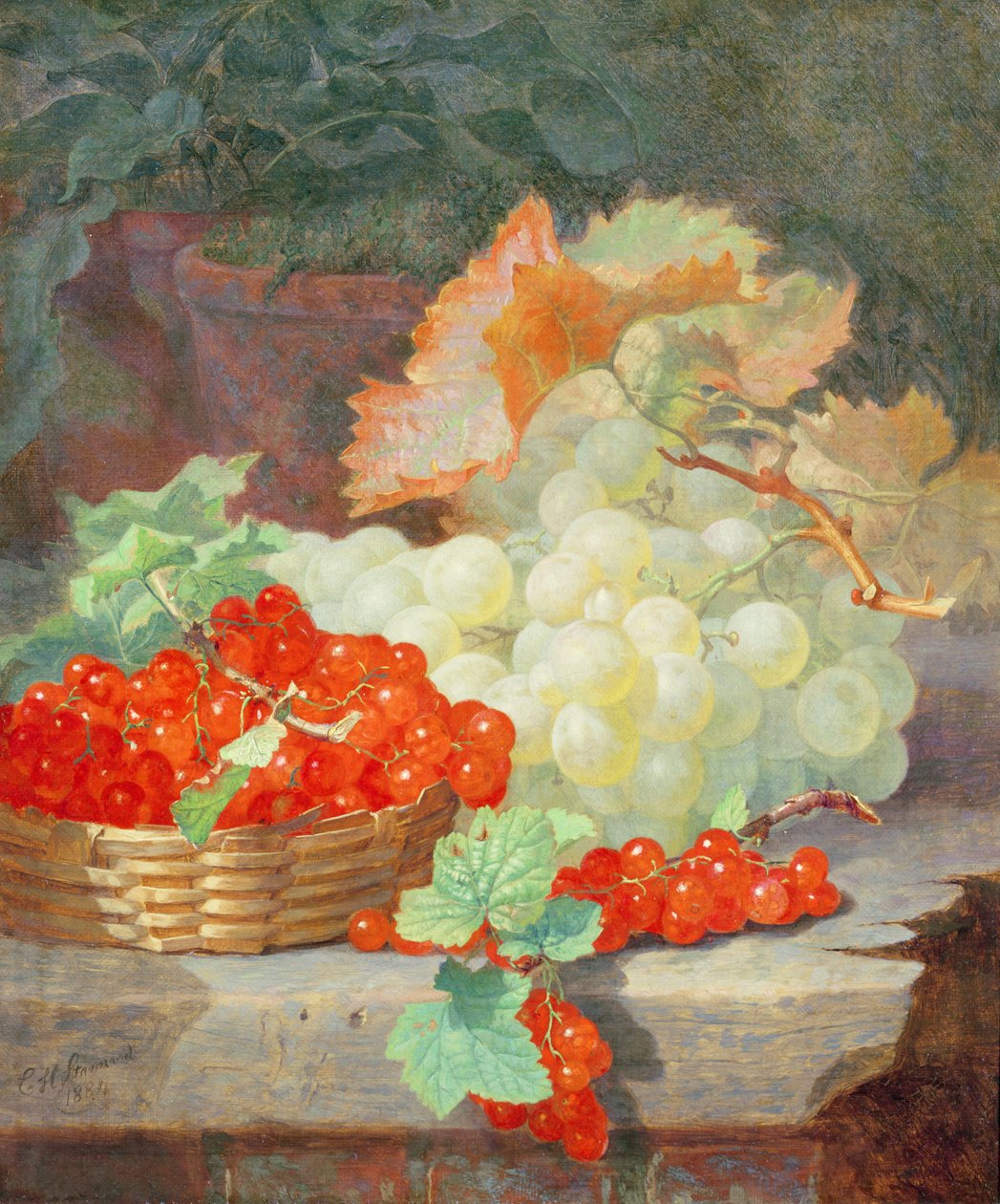 Grosellas y uvas, 1864 de Eloise Harriet Stannard